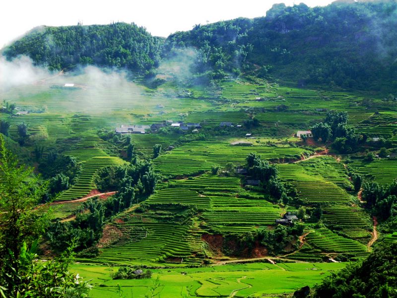 Bài văn phân tích bài thơ 