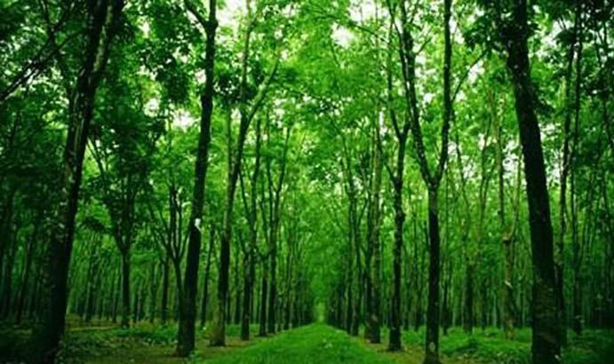 Phẩm chất anh hùng của các nhân vật trong 
