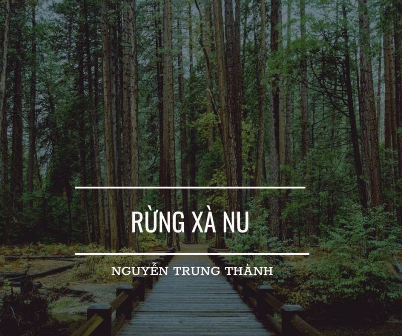 Bài văn phân tích hình tượng rừng xà nu số 2