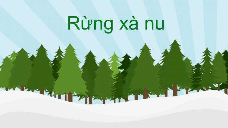 Bài văn phân tích hình tượng rừng xà nu số 8