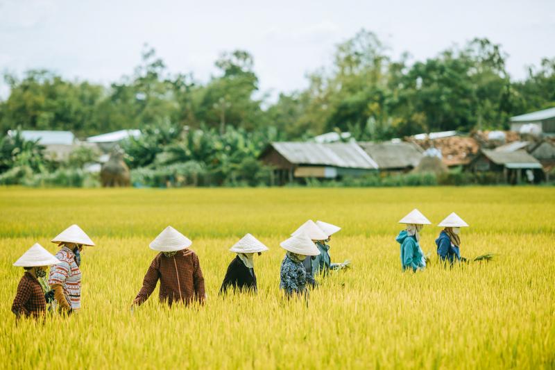 Bài văn tả bác nông dân số 5
