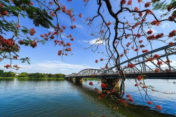 Hình minh họa