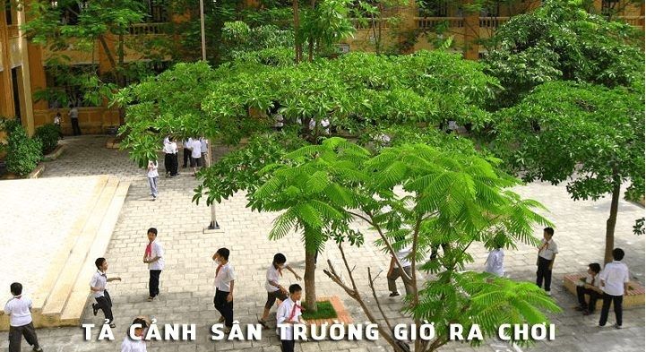 Ảnh minh họa (Nguồn internet)