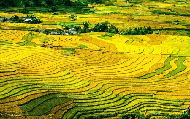 Mời anh lên Yên Bái quê em