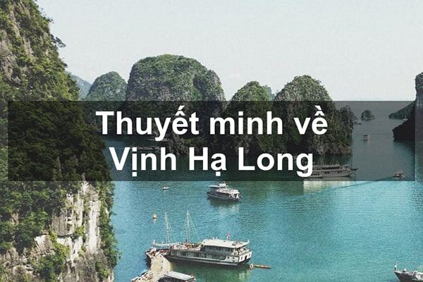 Ảnh minh họa (Nguồn internet)