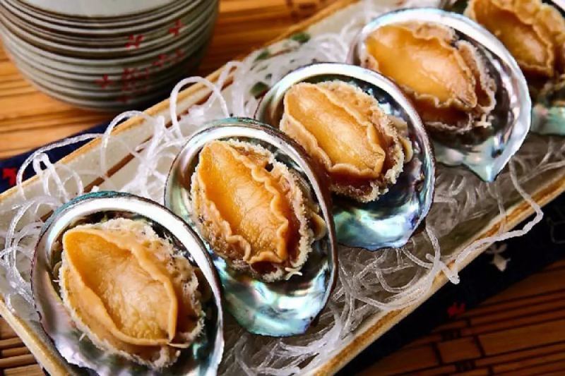 Bào ngư Bạch Long Vỹ