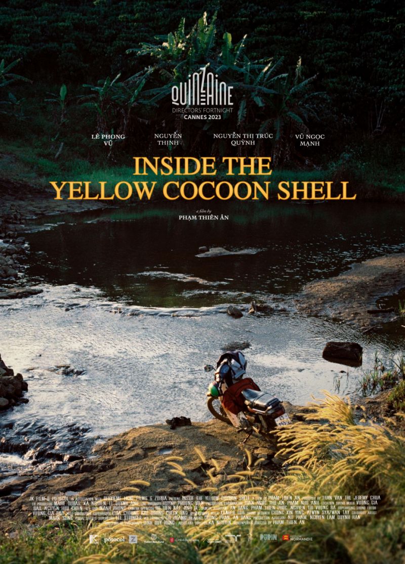 Bên Trong Vỏ Kén Vàng