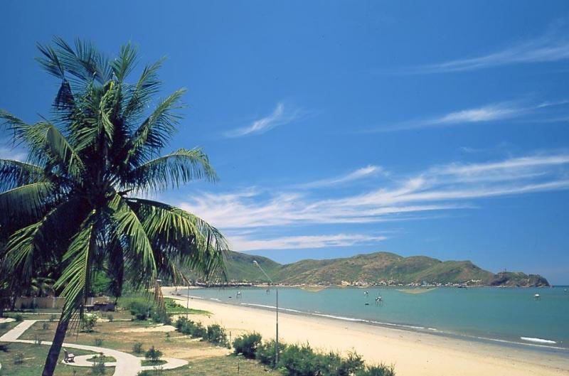 Biển Quy Hòa (nguồn: Internet)