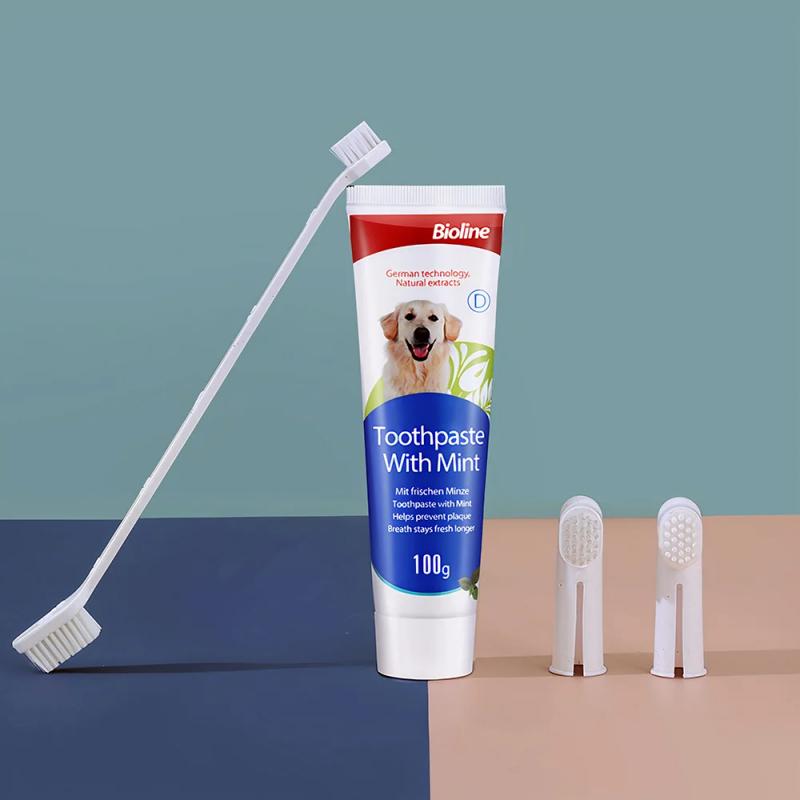 Kem đánh răng Dental Care Set Biolin