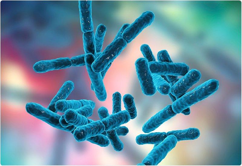 Bổ sung lợi khuẩn (probiotic) cho đường tiêu hóa