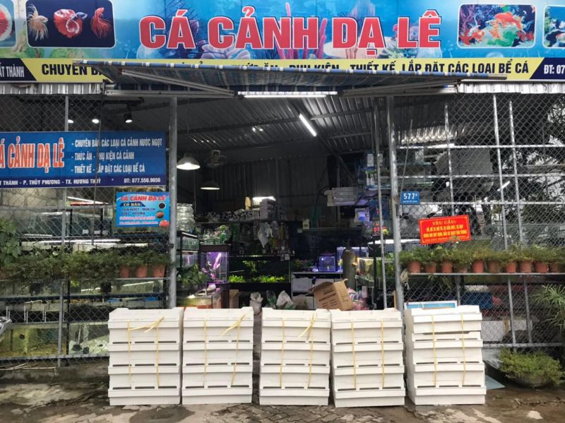 Cửa hàng cá cảnh Dạ Lê