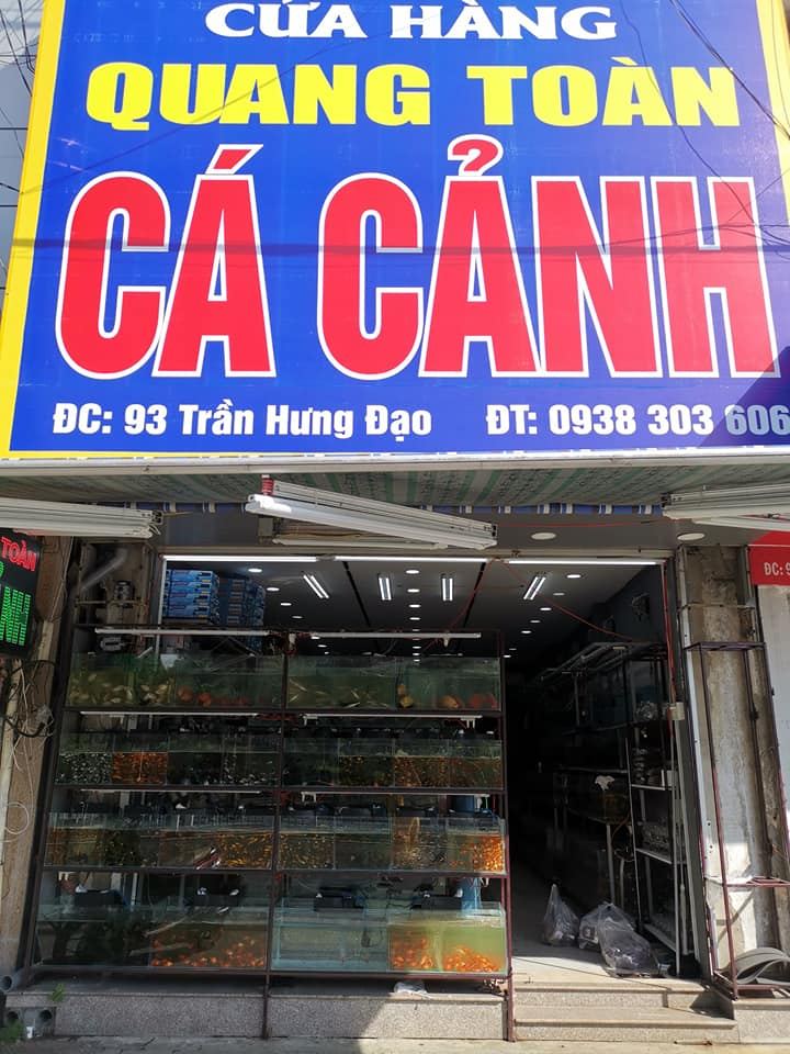 Cửa Hàng Cá Cảnh offline