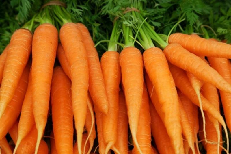 Cà rốt Việt Nam