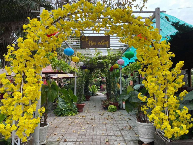 Cafe Hoa Nắng