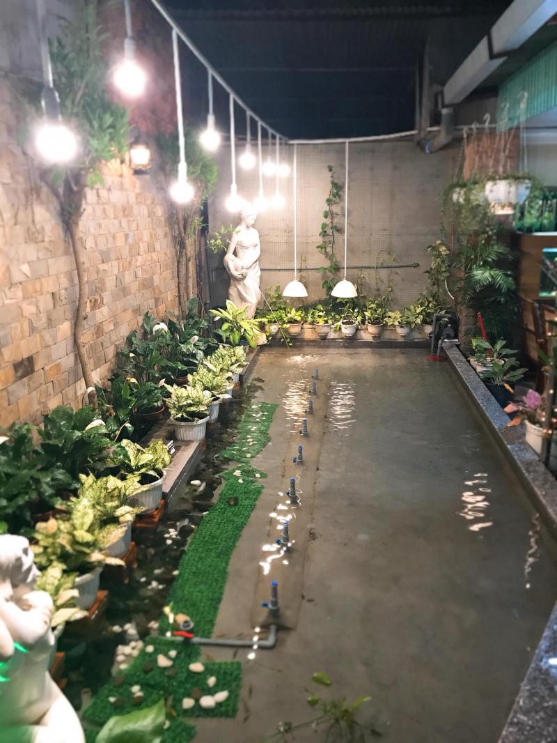 Cafe Quang Hi-End