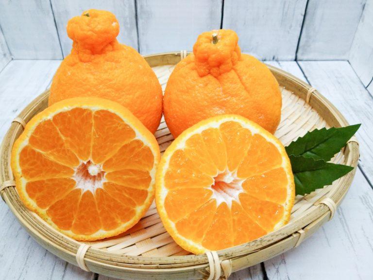Cam lồi Nhật Bản: gần 2 triệu đồng 1 quả
