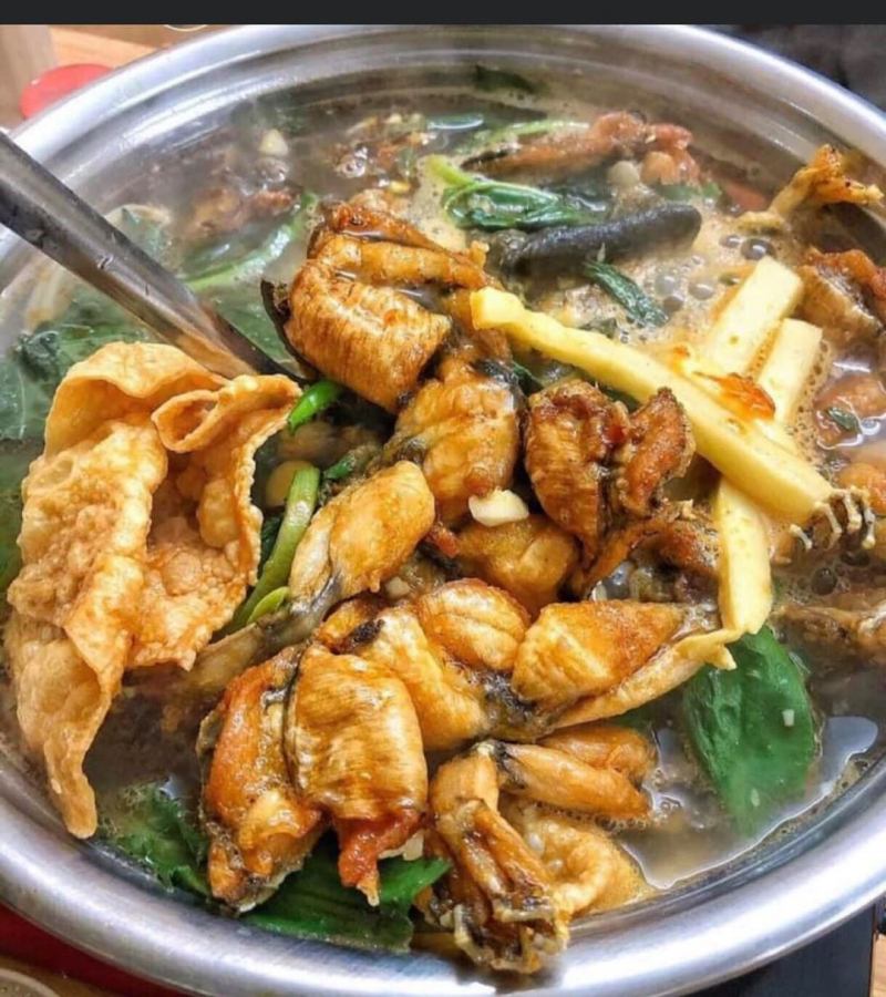 Cây Khế Quán