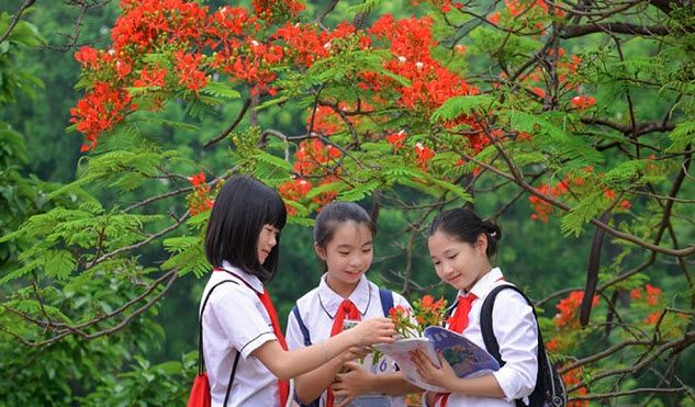 Hình minh hoạ