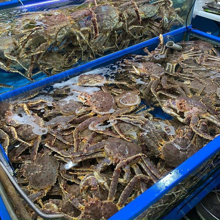 Chợ hải sản Phú Quốc