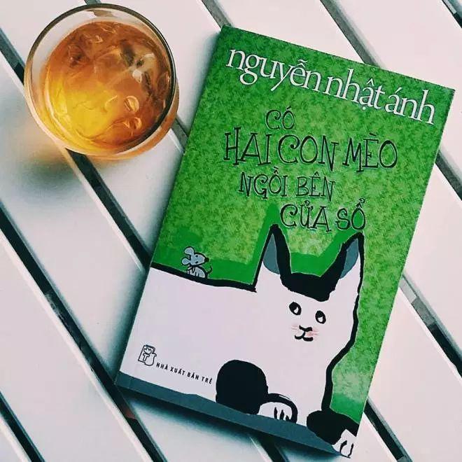 Có hai con mèo ngồi bên cửa sổ