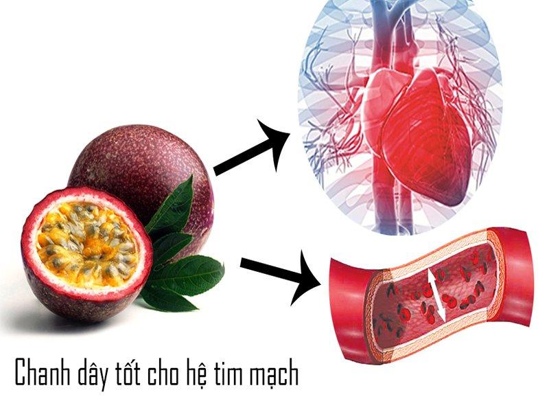 Chanh dây tốt cho hệ tim mạch