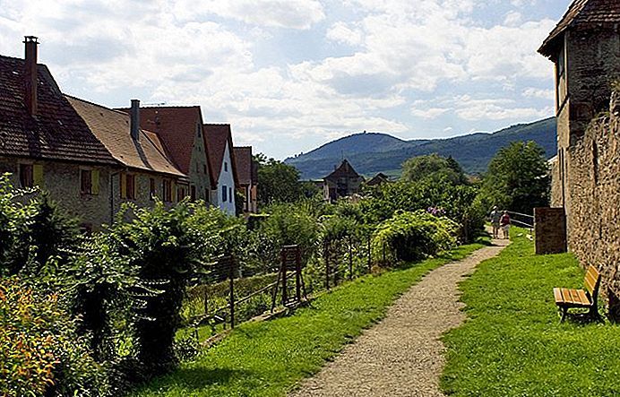 Con đường xuyên qua Đồi Rolling đến Làng Alsatian  ở Pháp