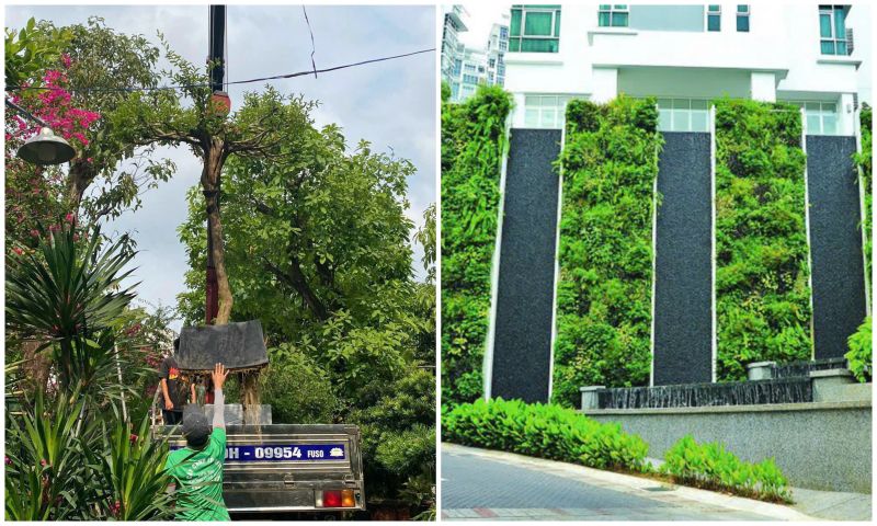 Những công trình thực tế của Công ty TNHH Cây Cảnh TP.HCM đã thi công