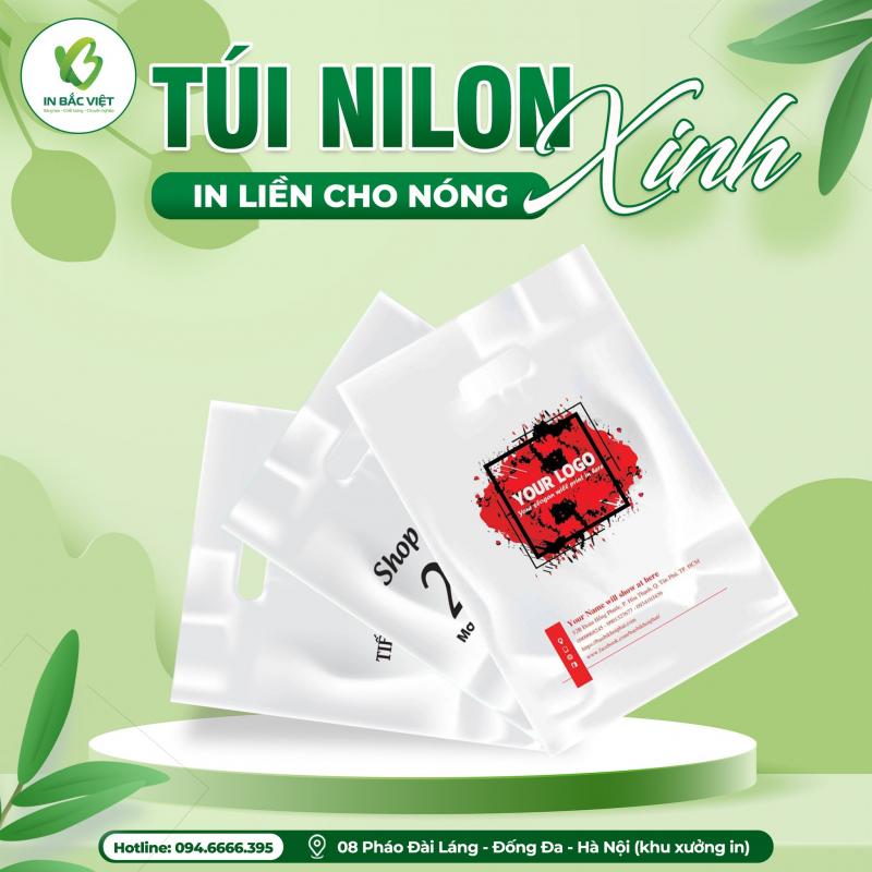Công ty TNHH In thiết kế Bắc Việt