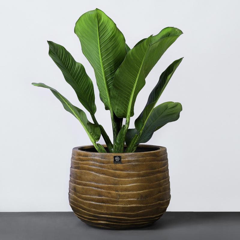 Công ty TNHH Kingpot Việt Nam