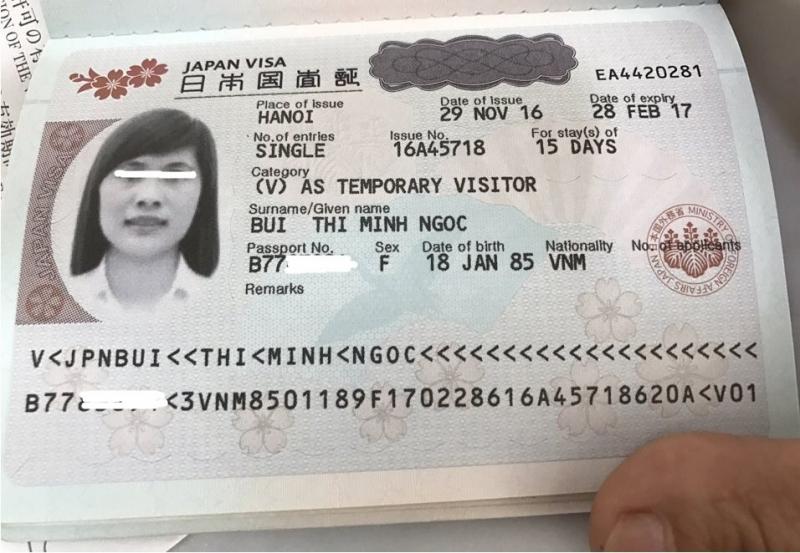 Visa247