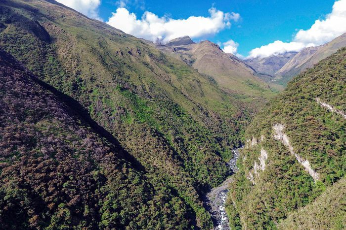Công viên quốc gia Madidi tại Bolivia