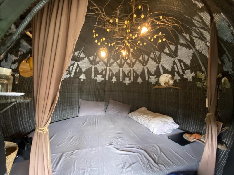 Cú Trên Cây Homestay