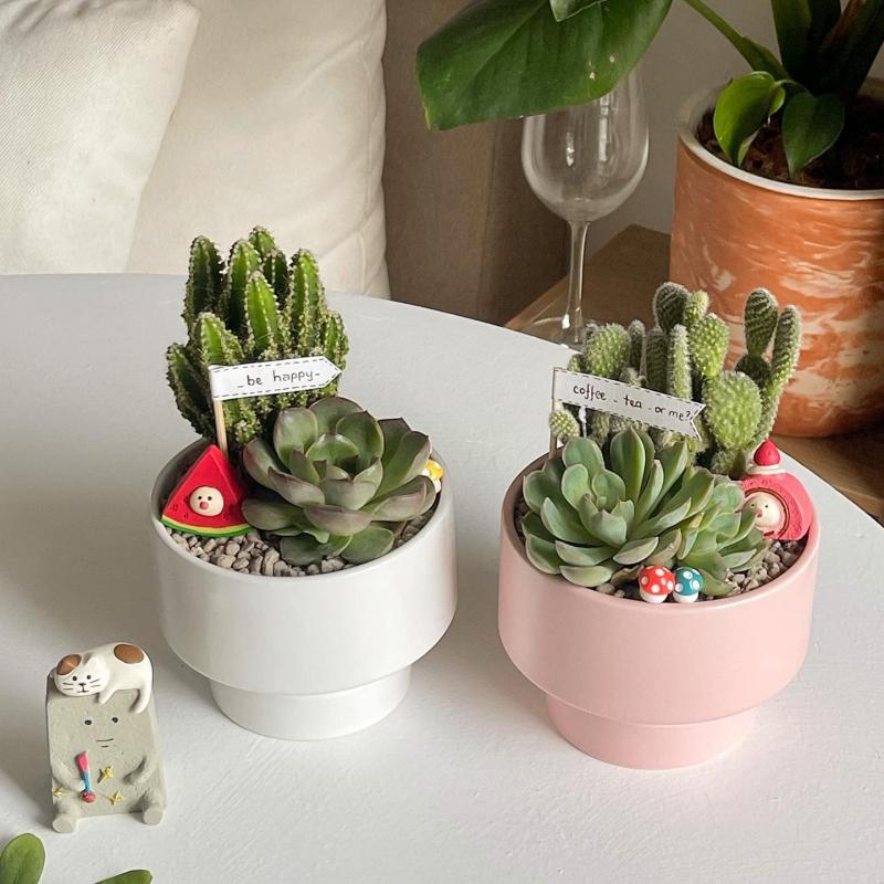 Cushy Garden