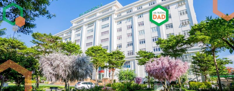 Đại học Đông Á