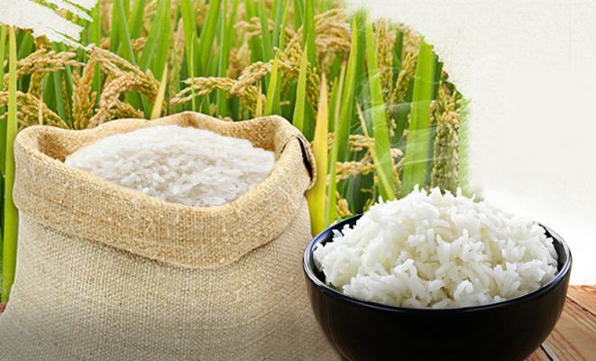 Đại lý gạo Thoa Hiền