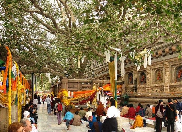 Bồ đề Đạo Tràng.