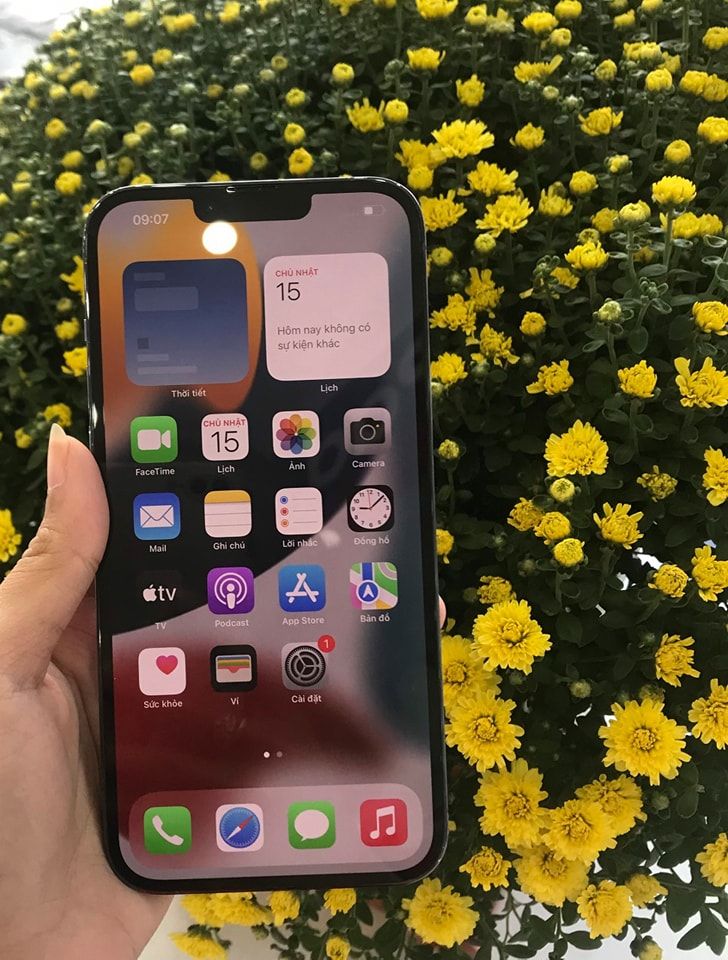 Di động Tường Ngọc