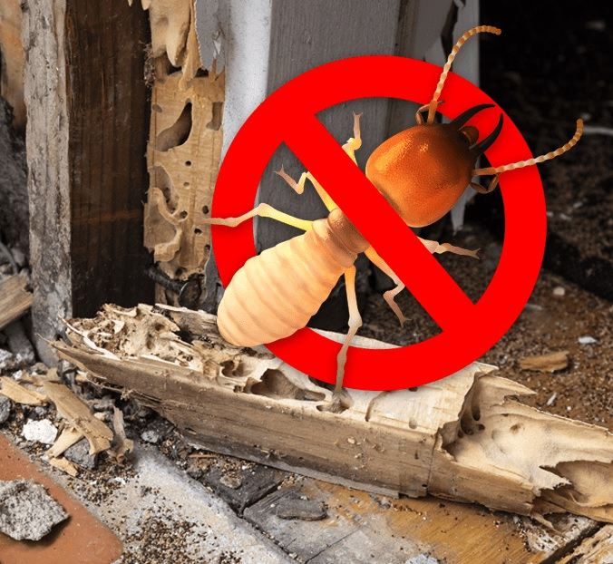Thành Nhân Pest Control