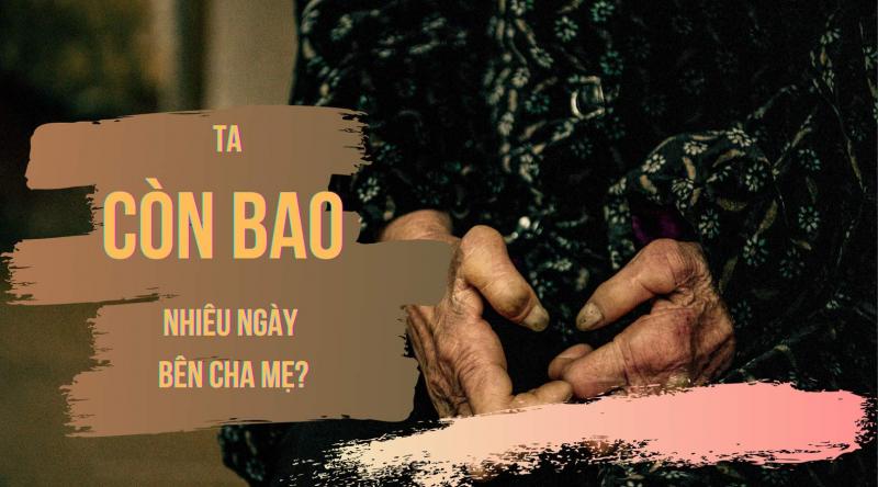 Đoạn văn nghị luận số 8