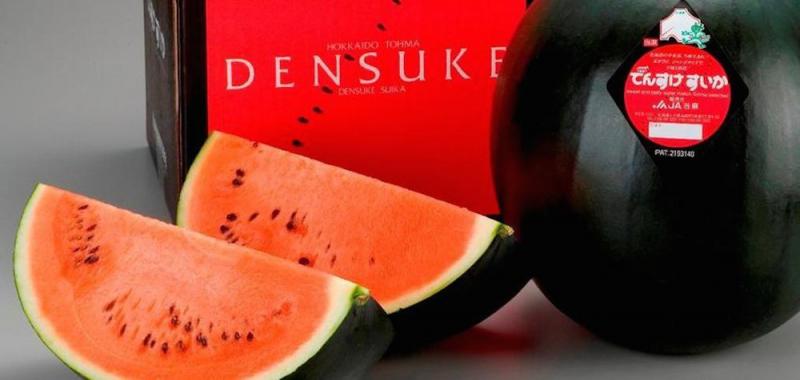 Dưa hấu Densuke