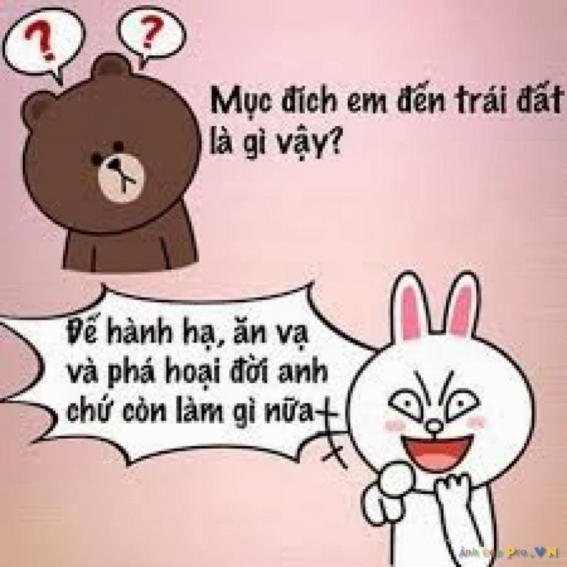Vợ là số một