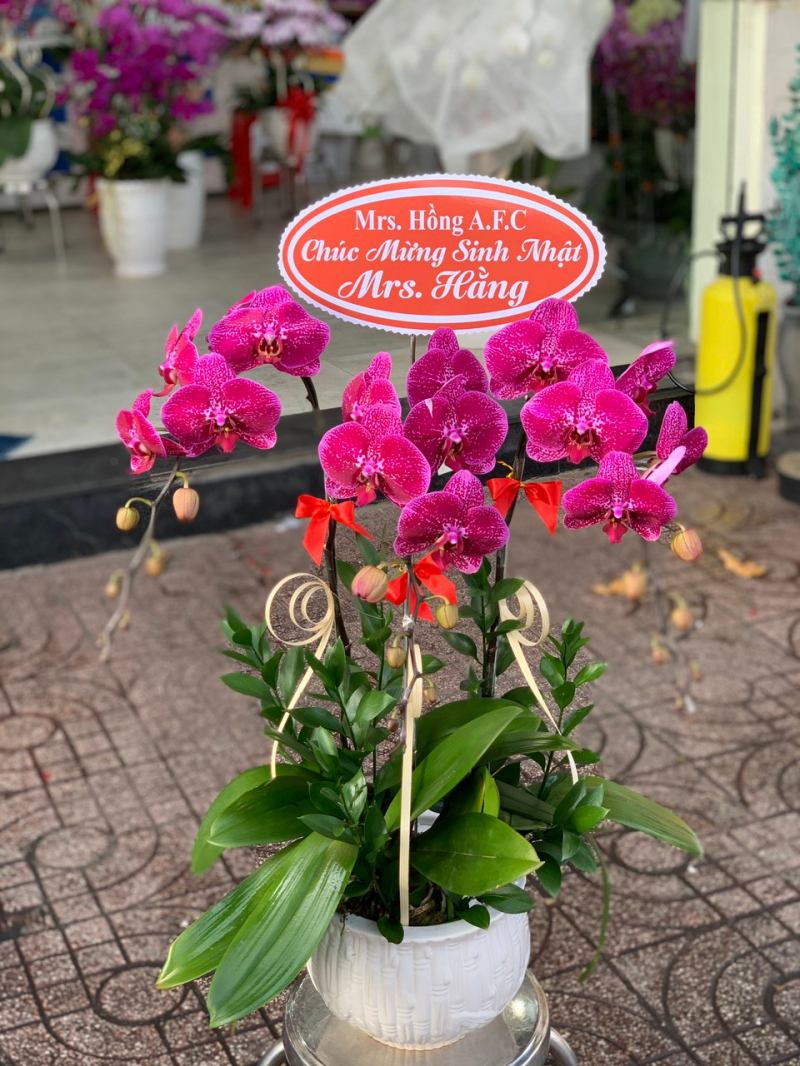 Flowerstore.vn