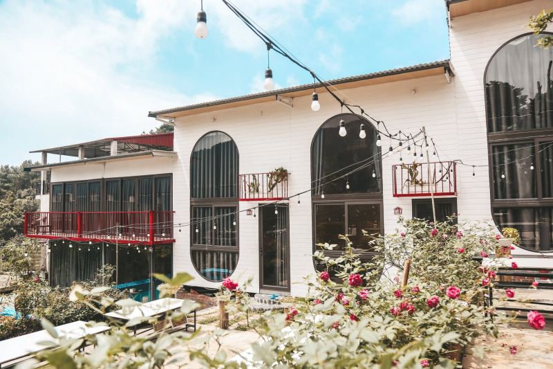 Gạo - Homestay Tam Đảo