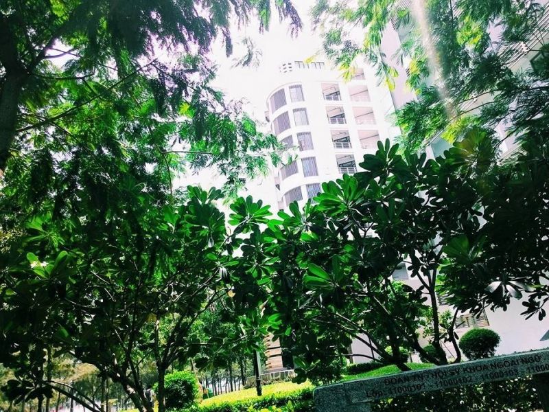 Hàng cây xanh mát trước lối vào
