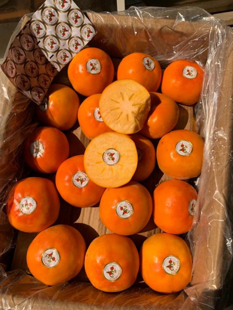 Gold Fruit - Hoa quả sạch Hà Nội