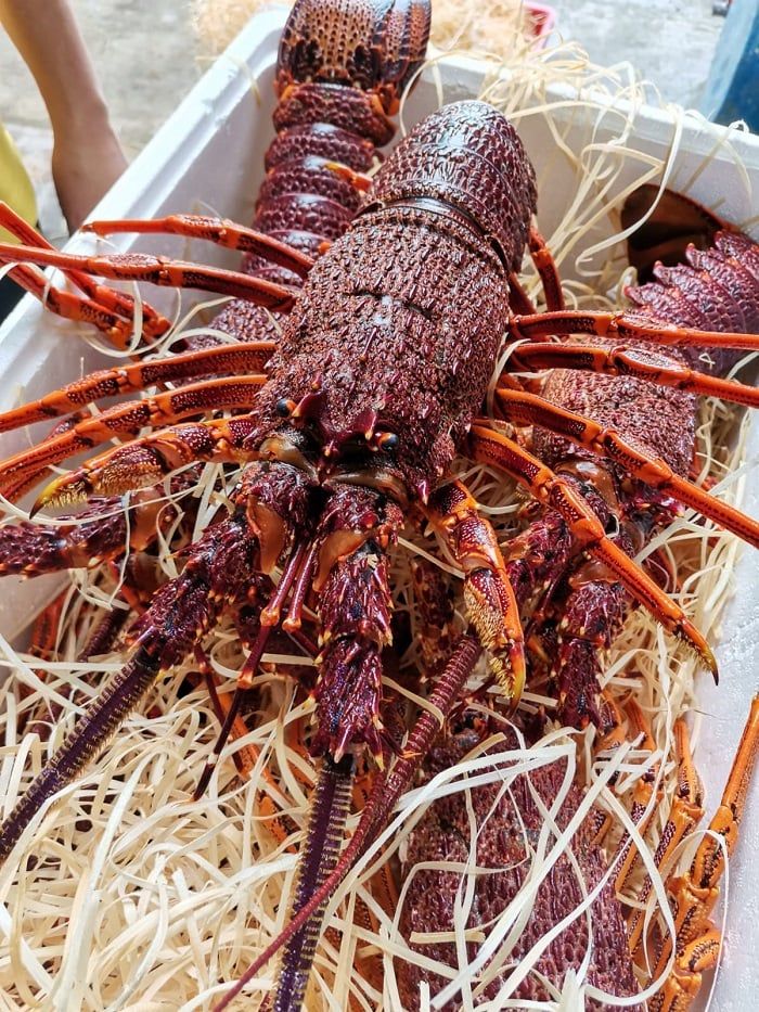 Hải Sản Tươi Sống Thủy Triều