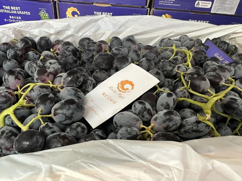 Han Fruit
