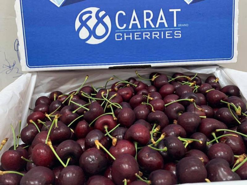 Nhập khẩu quả Cherry NewZealand