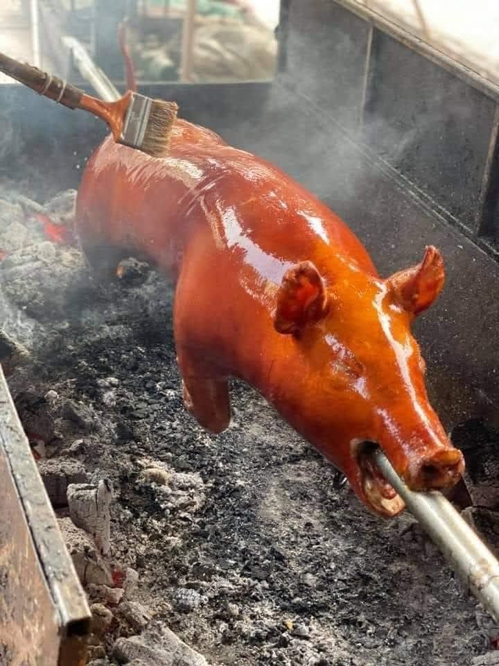 Heo cắp nách