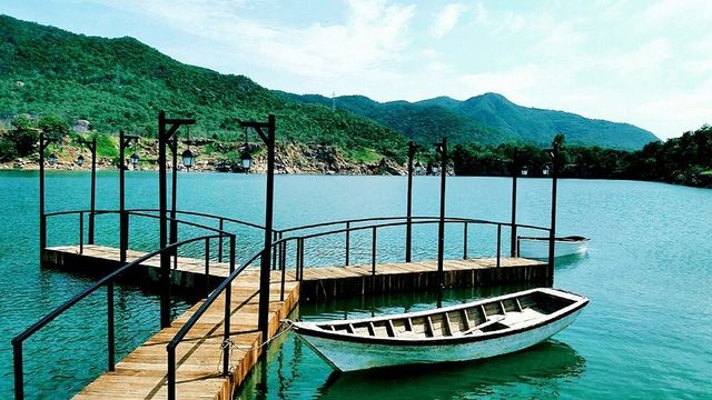Cây cầu giữa hồ